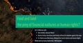 Thumb_oct 6 webinar food and land -the prey of financial vultures or human rights 